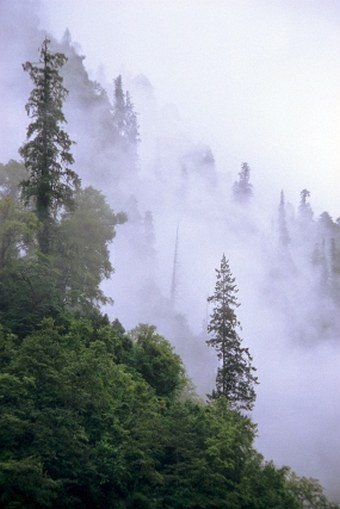 Brahmaputra