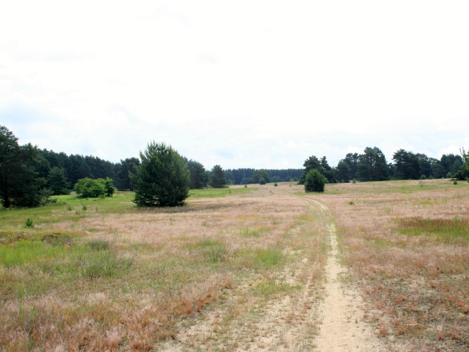 Vojenské cvičiště Bzenec