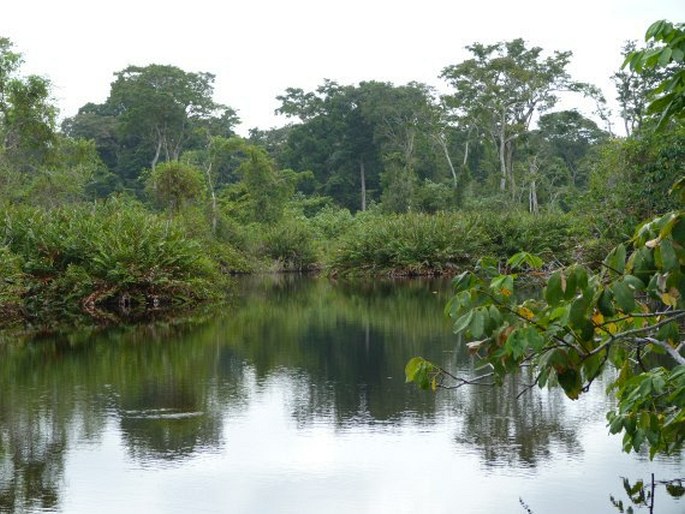 Parque Nacional Cahuita