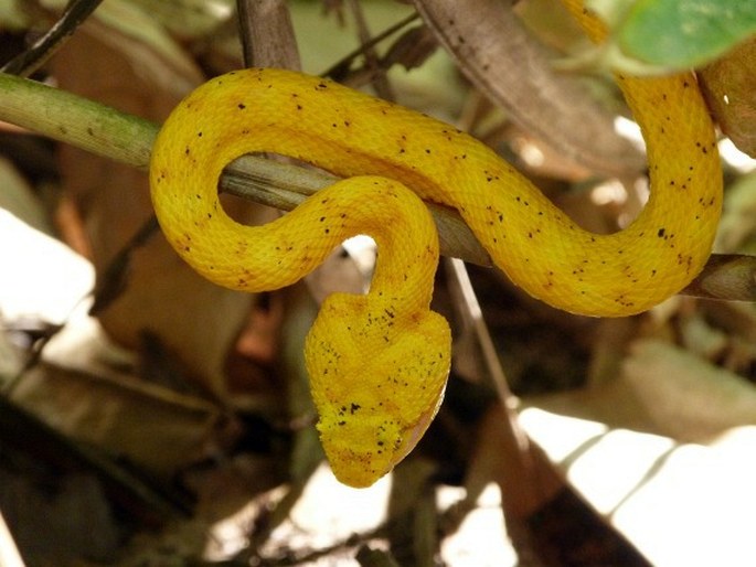 Parque Nacional Cahuita