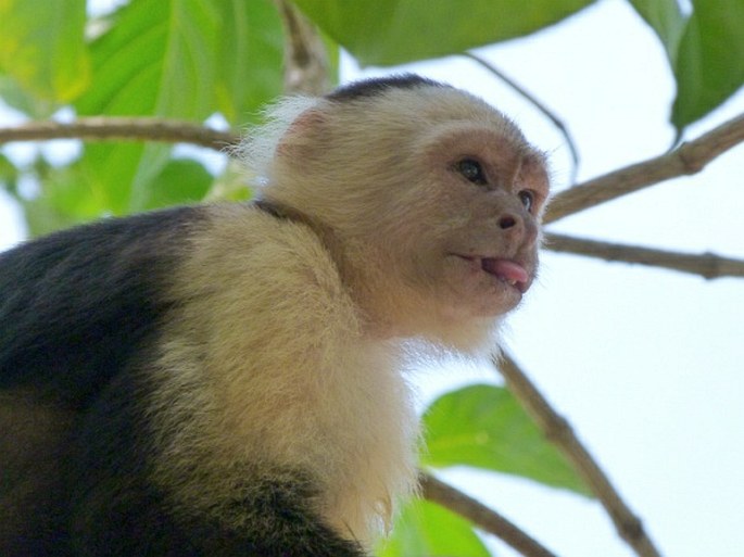 Parque Nacional Cahuita