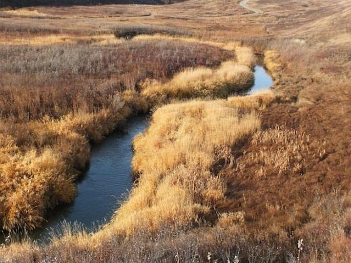 Calgary Nature Parks