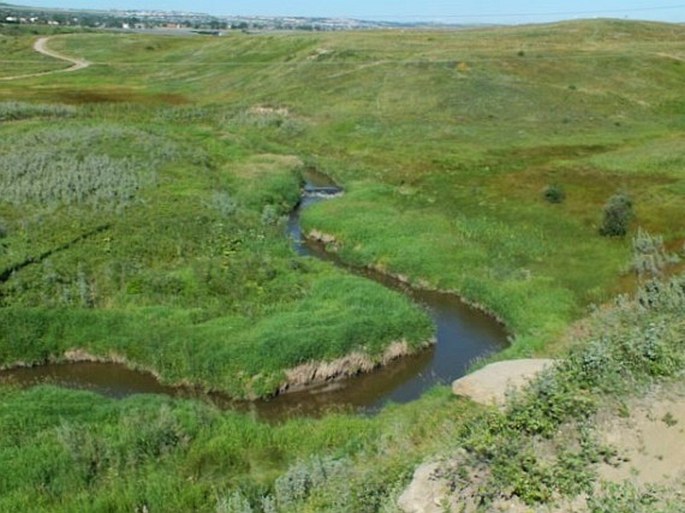 Calgary Nature Parks