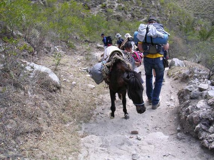 Peru, Camino Inca