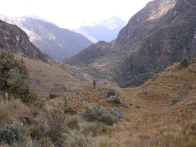 Peru, Camino Inca