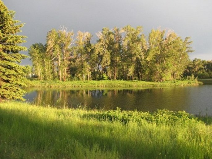 Calgary, Carburn Park