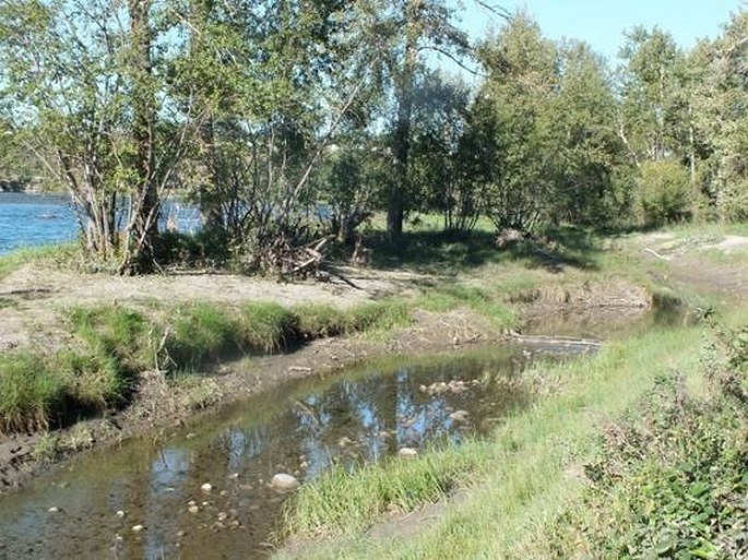 Calgary, Carburn Park