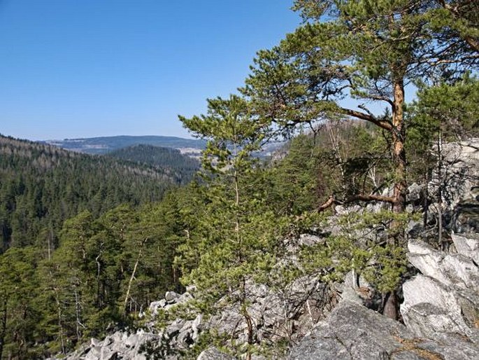 Vyšebrodsko, Čertova stěna-Luč – národní přírodní rezervace