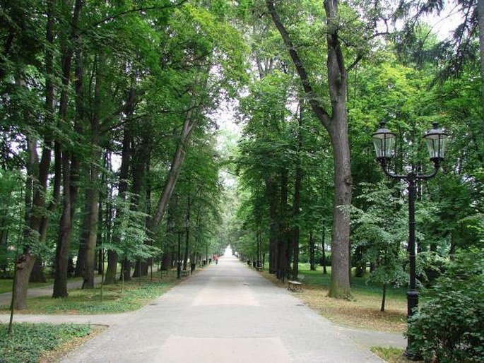 Cieplice Śląskie-Zdrój