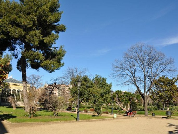 Parc de la Ciutadella