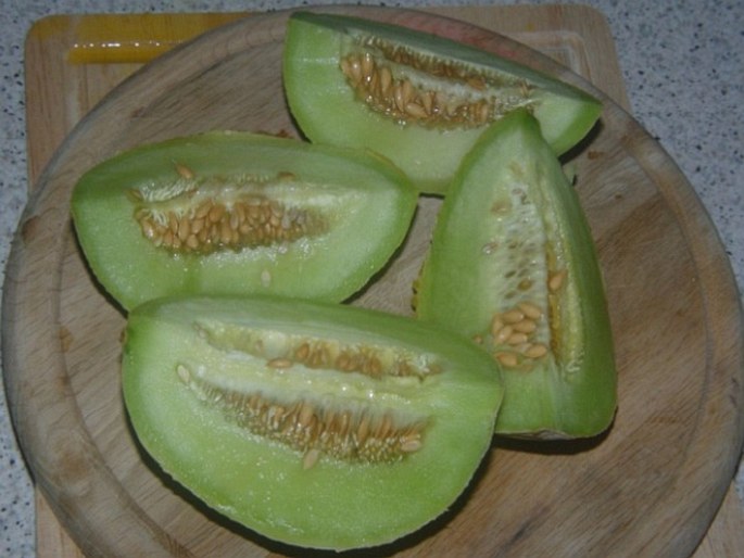 Cucumis melo