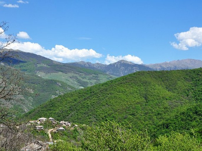 Arménie, Diližanský národní park
