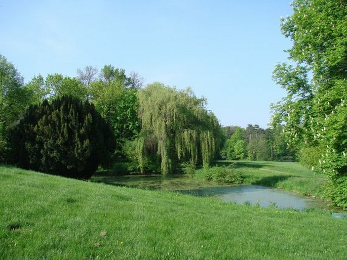 Dobřenice