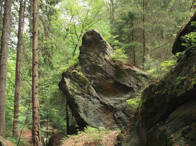 Údolí Dolnožlebského potoka