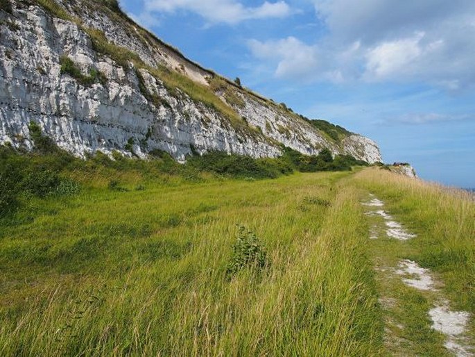 White Cliffs of Dover