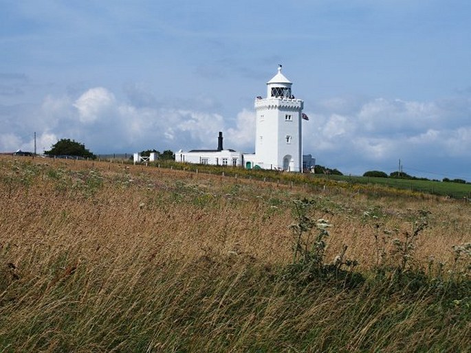 White Cliffs of Dover