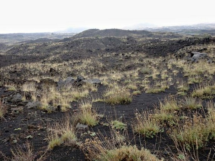 Etna