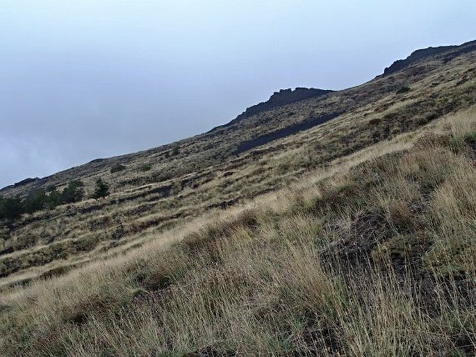 Etna