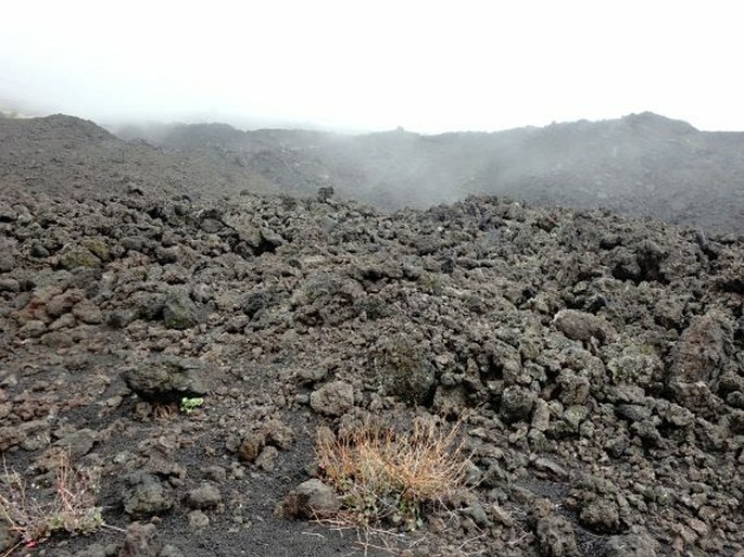 Etna