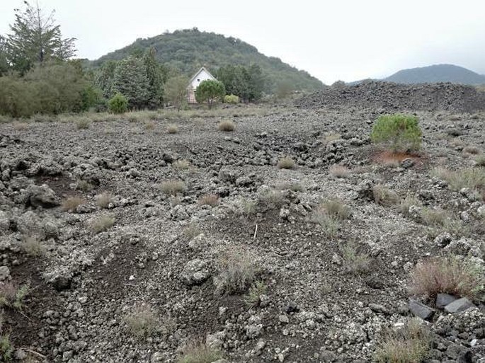 Etna