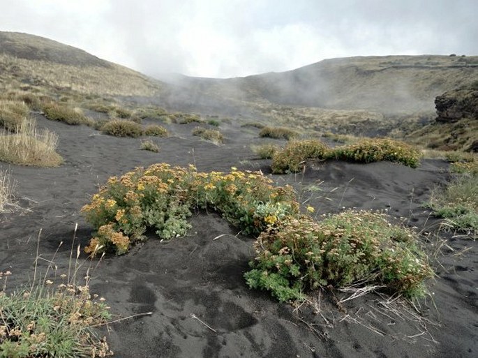 Etna