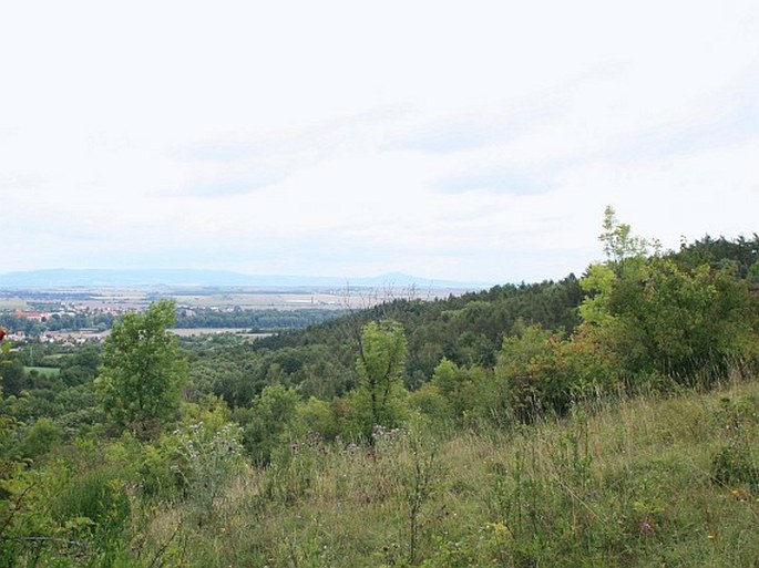 Libochovická tabule, Evaňská rokle - přírodní památka