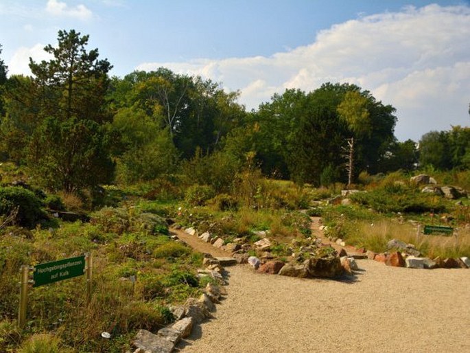 Botanische Garten Frankfurt am Main