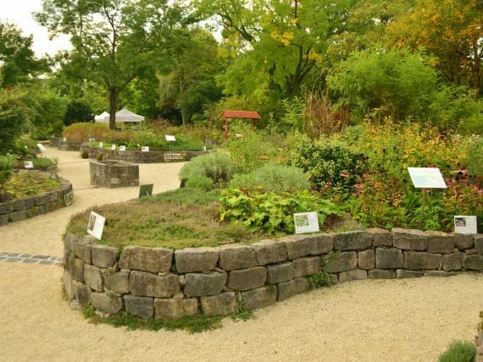 Botanische Garten Frankfurt am Main