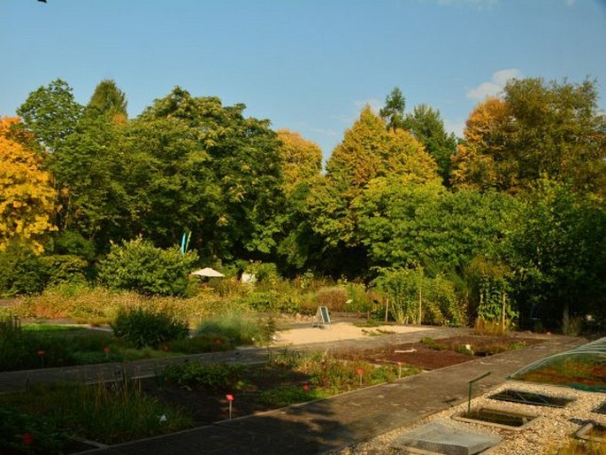 Botanische Garten Frankfurt am Main