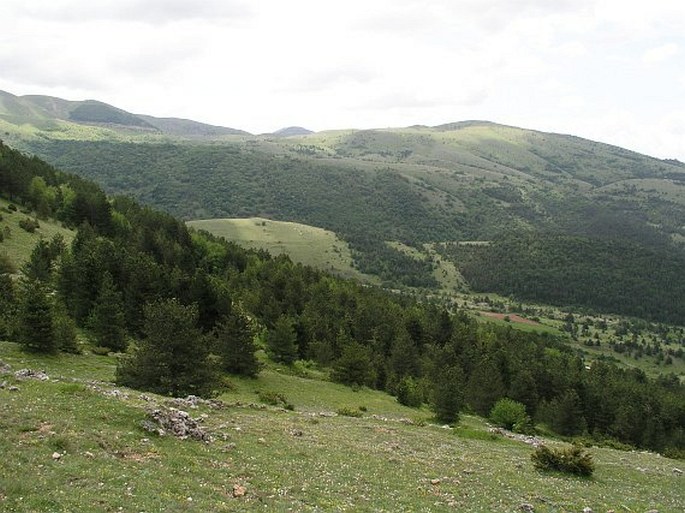 Parco nazionale del Gran Sasso e Monti della Laga