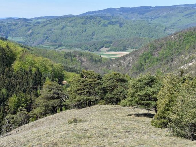 Rakousko, Niederösterreich, rezervace Gurhofgraben