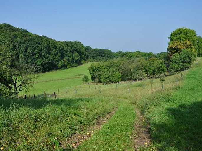 Pardubické Polabí, Habrov - přírodní rezervace