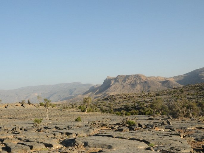 Omán, Al Hajar -­ i Arábie má svůj Grand Canyon