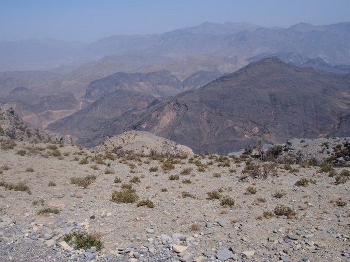 Omán, Al Hajar