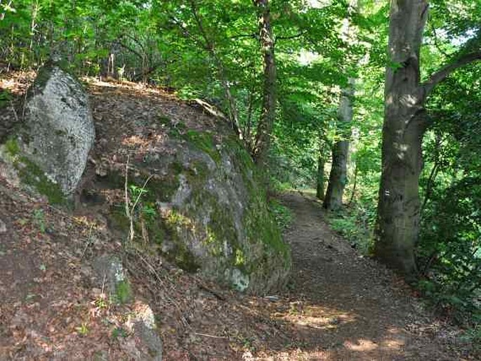 Jesenická pahorkatina, Háj Petra Bezruče – přírodní památka