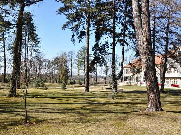 Hamzův park a arboretum