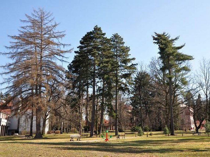 Hamzův park a arboretum