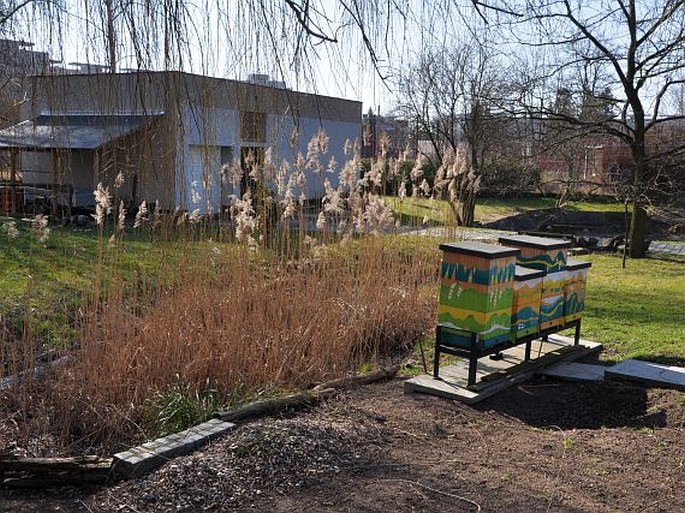 Botanická zahrada léčivých rostlin Farmaceutické fakulty Univerzity Karlovy, Hradec Králové