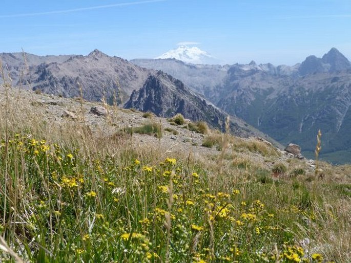 Argentina, Parque Nacional Nahuel Huapi – nejstarší chráněné území Jižní Ameriky