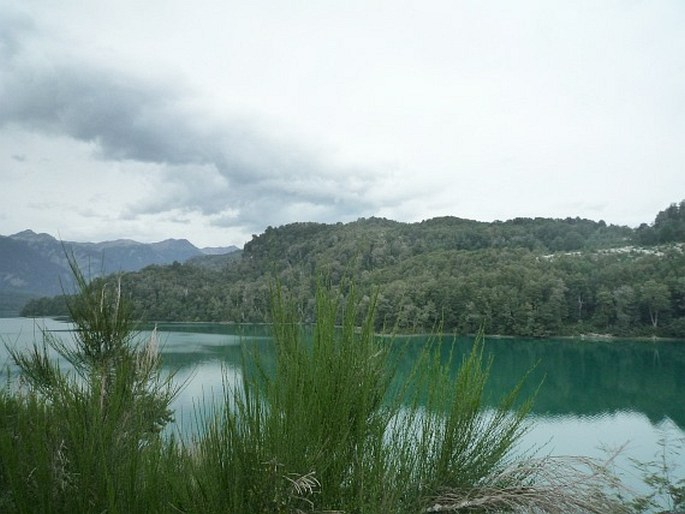 Nahuel Huapi