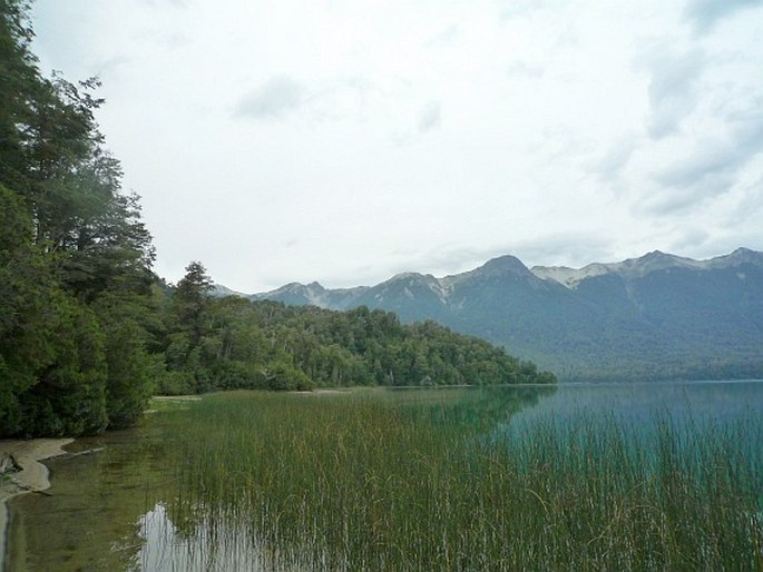 Nahuel Huapi