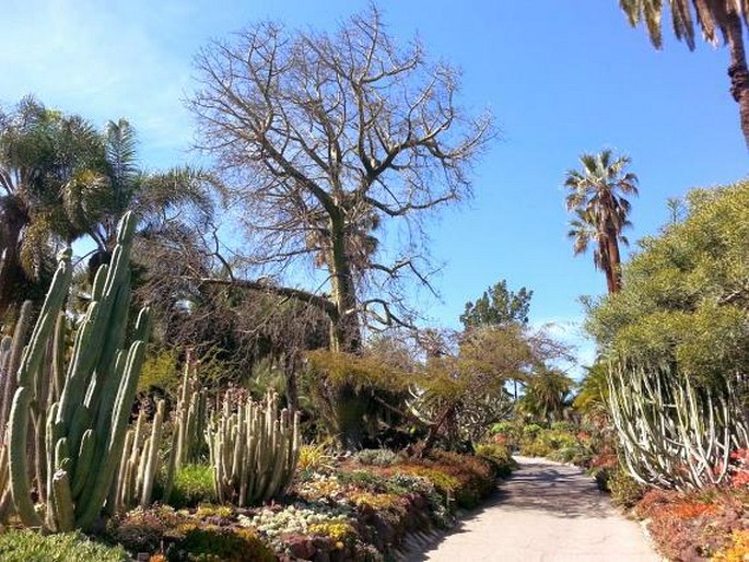 Huntington Botanical Gardens