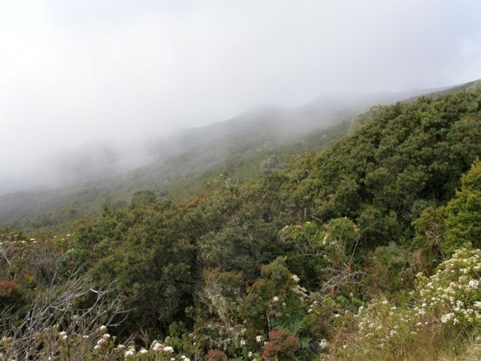 Parque Nacional Volcán Irazú