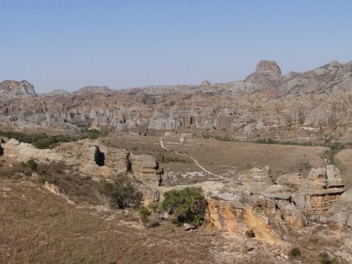 Madagaskar, Isalo - mezi savanou a mokřinou