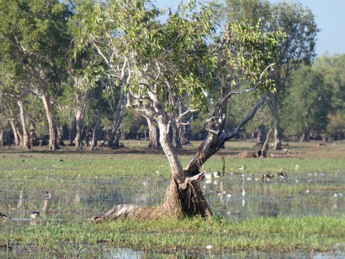 Kakadu National Park