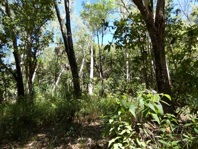 Kakadu National Park