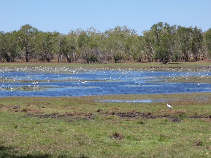 Kakadu National Park