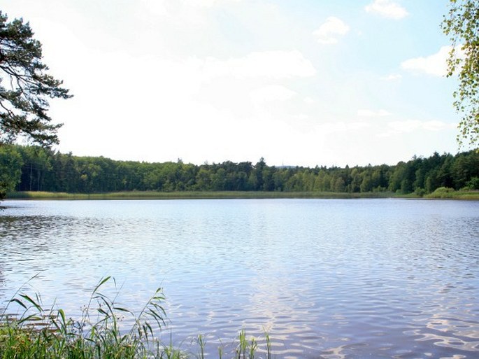 Plzeňská pahorkatina, Kamenný rybník – přírodní rezervace