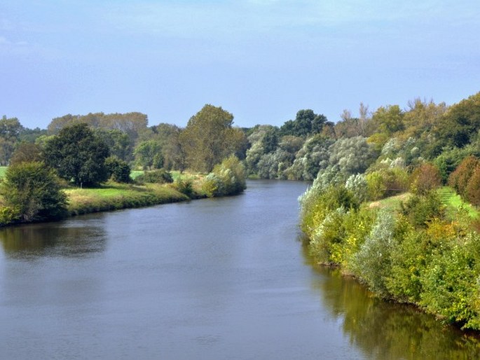 Kladruby nad Labem