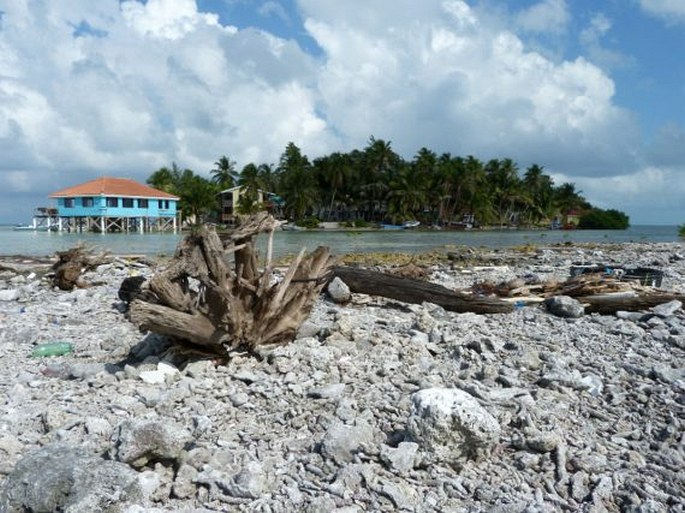 Belize Barrier Reef Reserve System